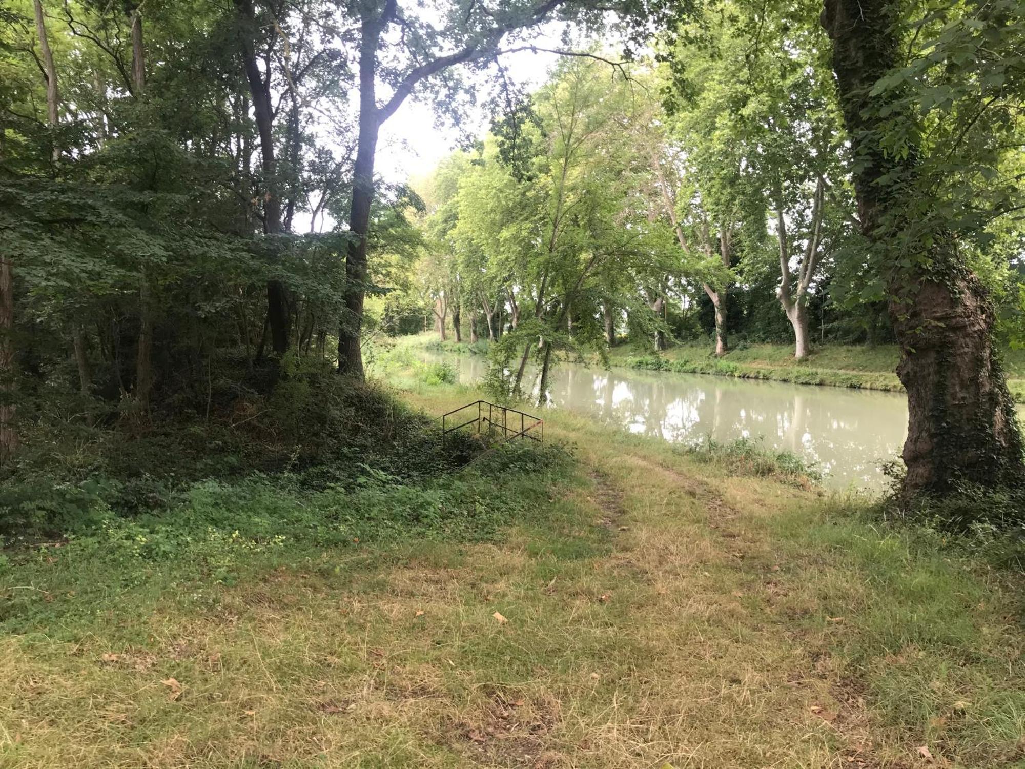 Bus Atypique Au Bord Du Canal Du Midi Et Au Coeur D'une Foret 2 *
