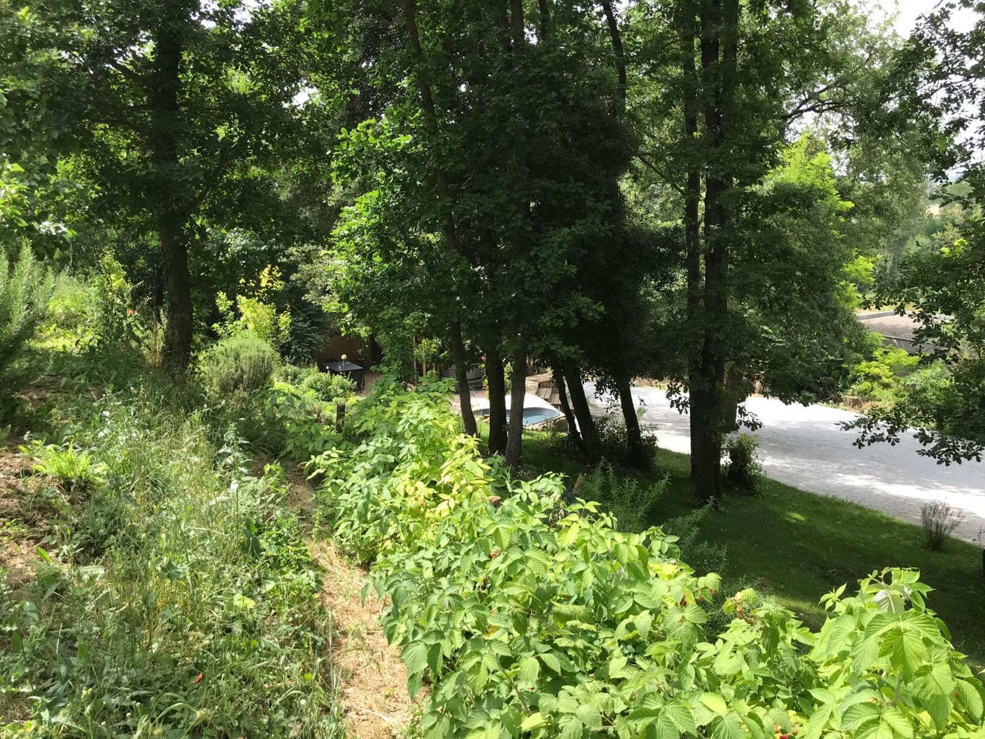 Bus Atypique Au Bord Du Canal Du Midi Et Au Coeur D'une Foret 2 Holiday home