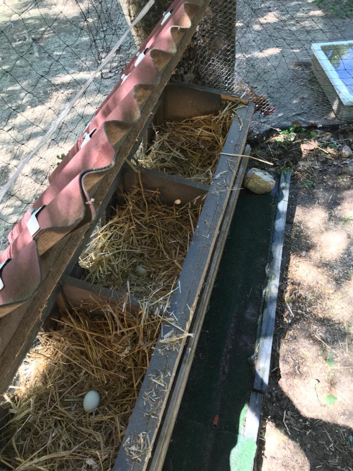 Bus Atypique Au Bord Du Canal Du Midi Et Au Coeur D'une Foret 2 *