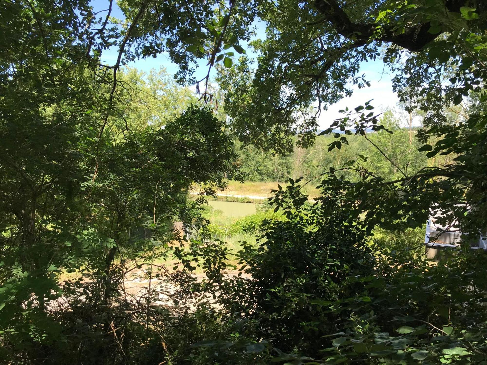 Bus Atypique Au Bord Du Canal Du Midi Et Au Coeur D'une Foret 2